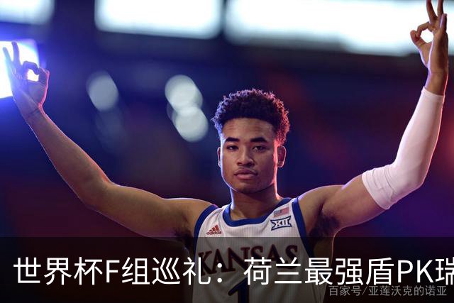 世界杯F组巡礼：荷兰最强盾PK瑞典犀利刀 日本短板明显